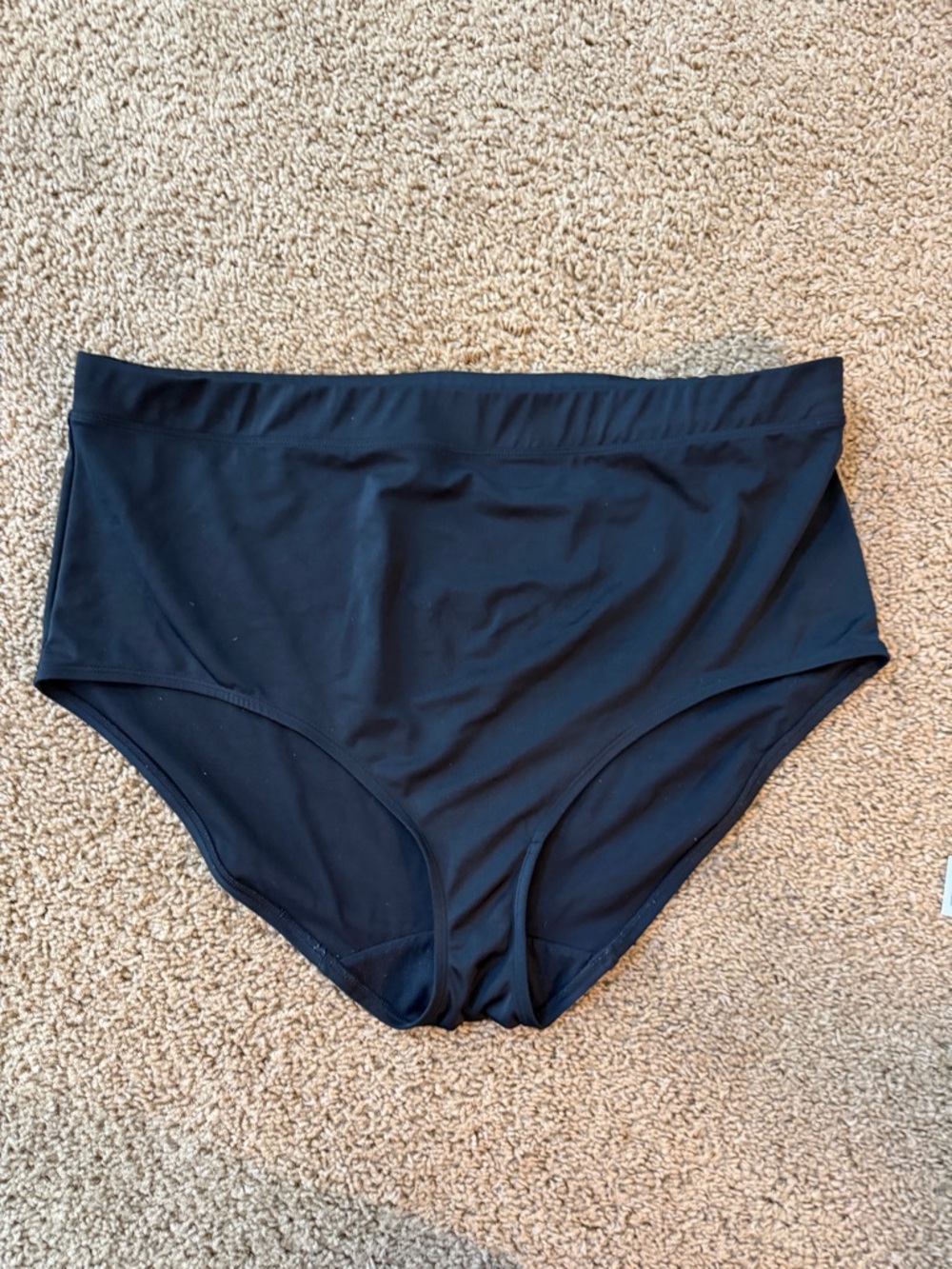 Cacique Black High-Waist Briefs